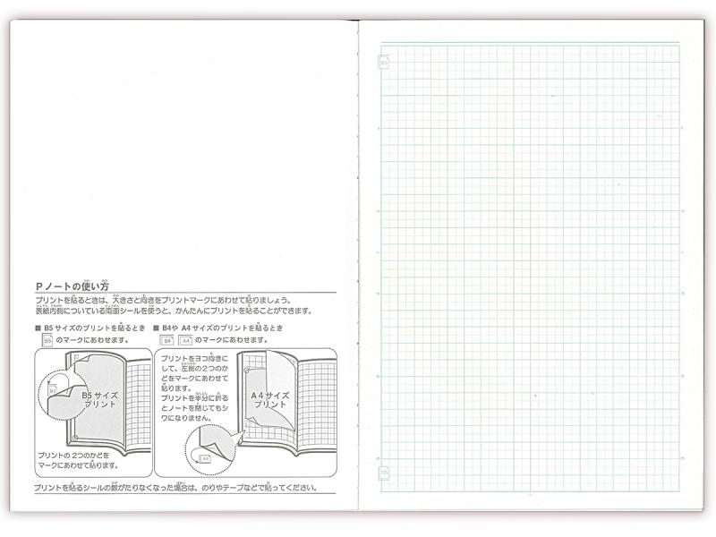 日本ノート スクールライン 10ミリヨコ罫 Pノート PLAS10 A4