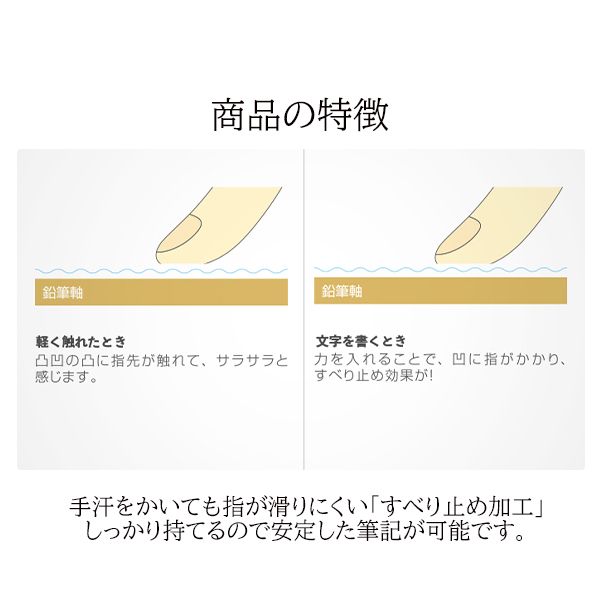 トンボ鉛筆鉛筆 ippo! イッポ! しっかりもてるかきかたえんぴつ 2B 12本入り 三角軸 KB-EG02-2B