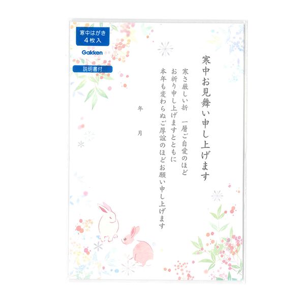 学研ステイフル 寒中ポストカード 南天 4枚入り 説明書付き S20-855