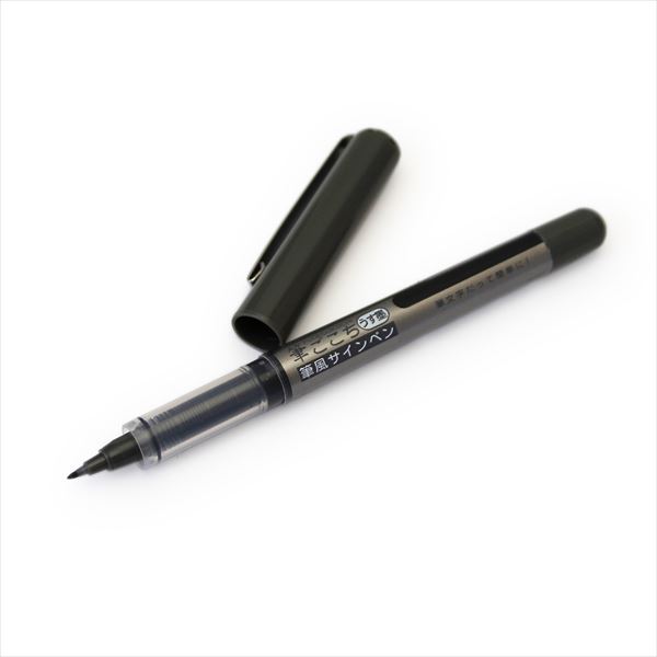 呉竹 クレタケ 筆ペン 筆風サインペン 筆ごこち うす墨セリース 筆ペンが苦手な方にもペン感覚で使える 水性顔料インキ LS5-10S