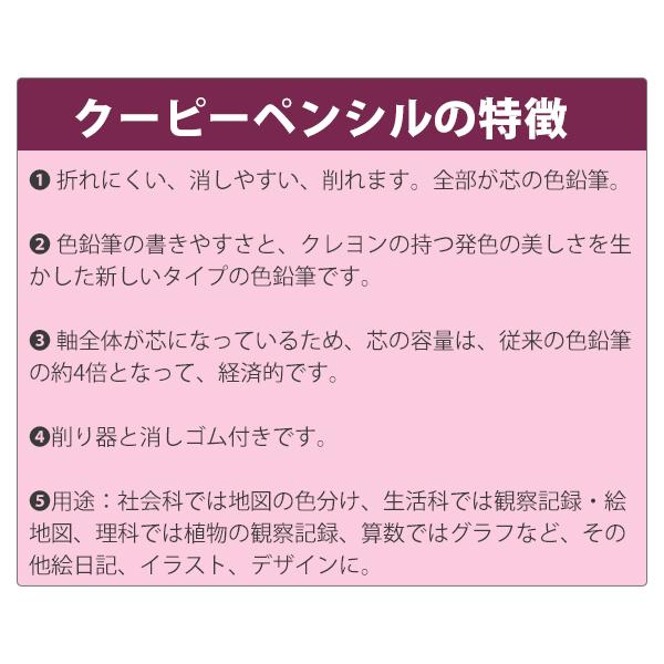 サクラクレパス クーピーペンシル 12色ソフトケース入 FY12-R1 折れにくい 消しやすい 全部が芯の色鉛筆 消しゴム付き 削り器付き