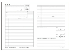 アピカ履歴書