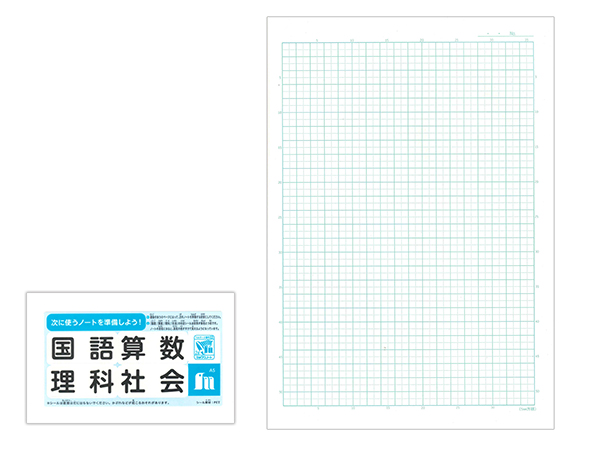 ジャポニカセクション A4 5mm方眼罫(リーダー罫入り) イエロー AS-5Y